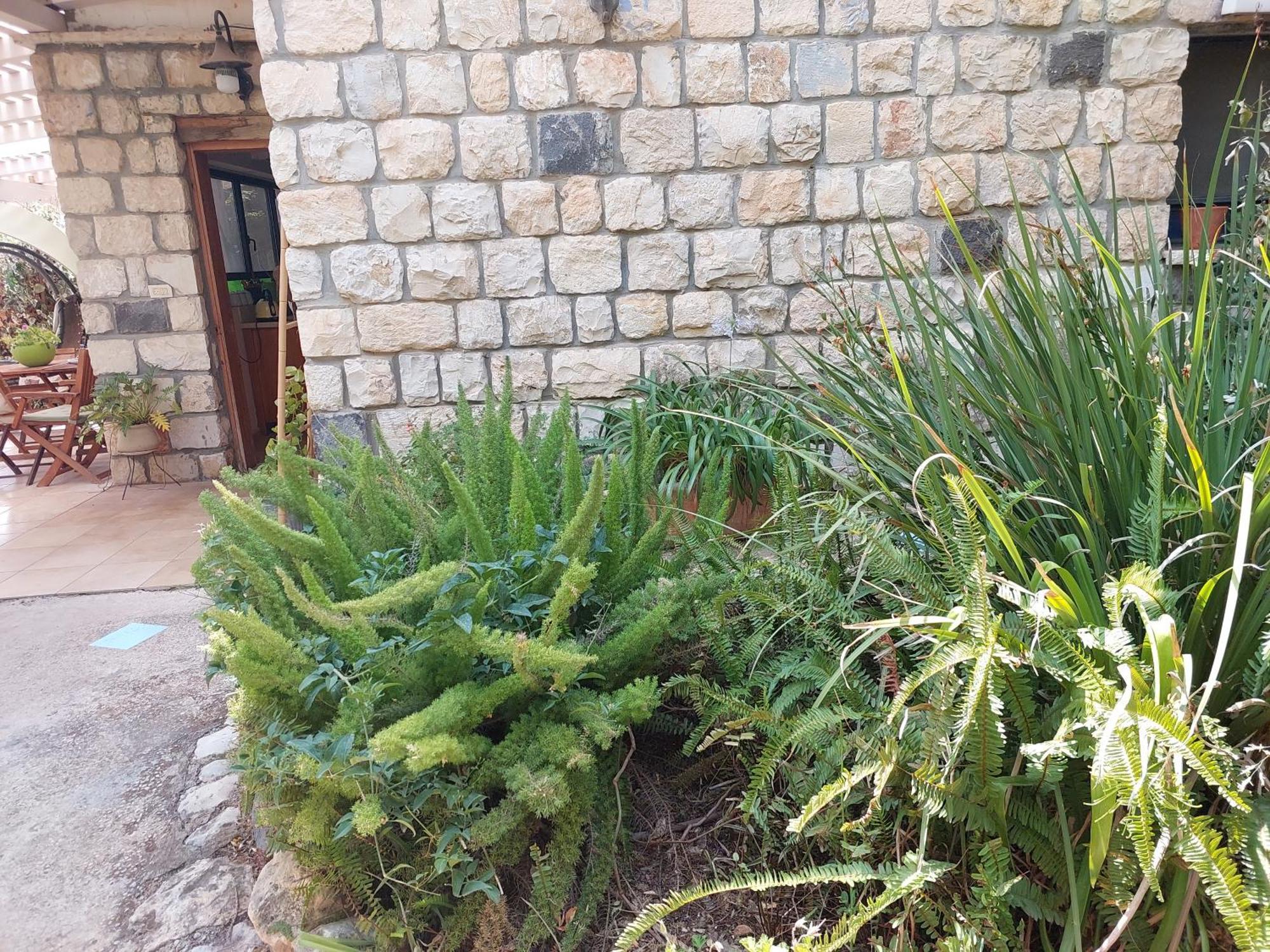 Neve Nof Apartment Рош Пина Стая снимка